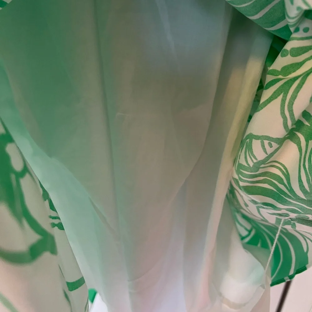 Lilly Pulitzer Ruffle Dress - Picture 9 of 10